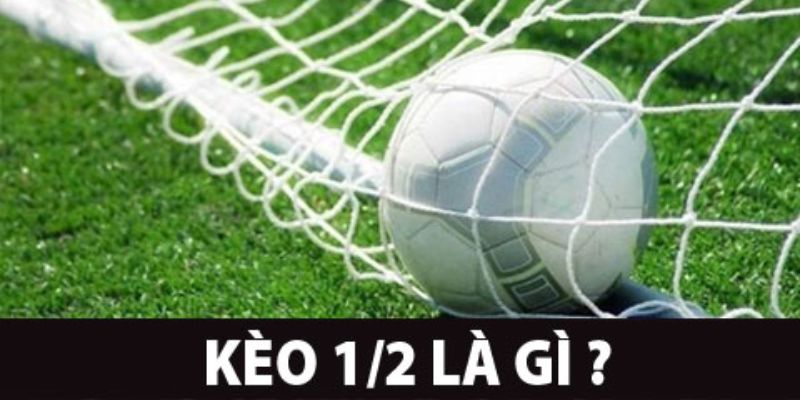 Những lợi ích khi tham gia kèo 1/2