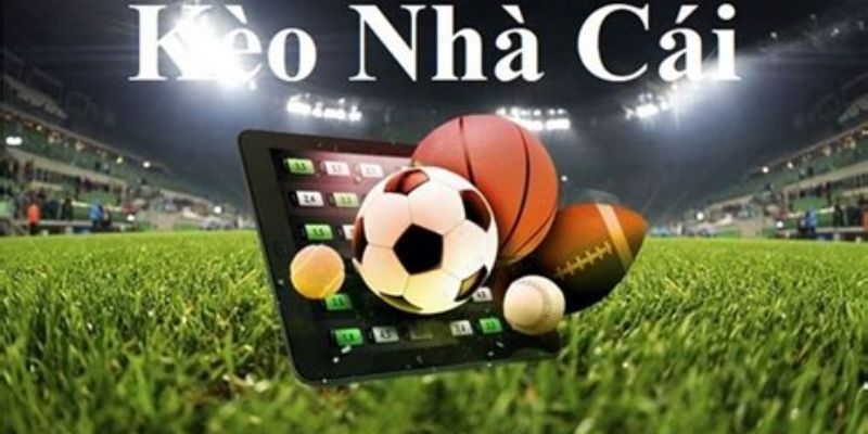 Các yếu tố ảnh hưởng đến nhà cái